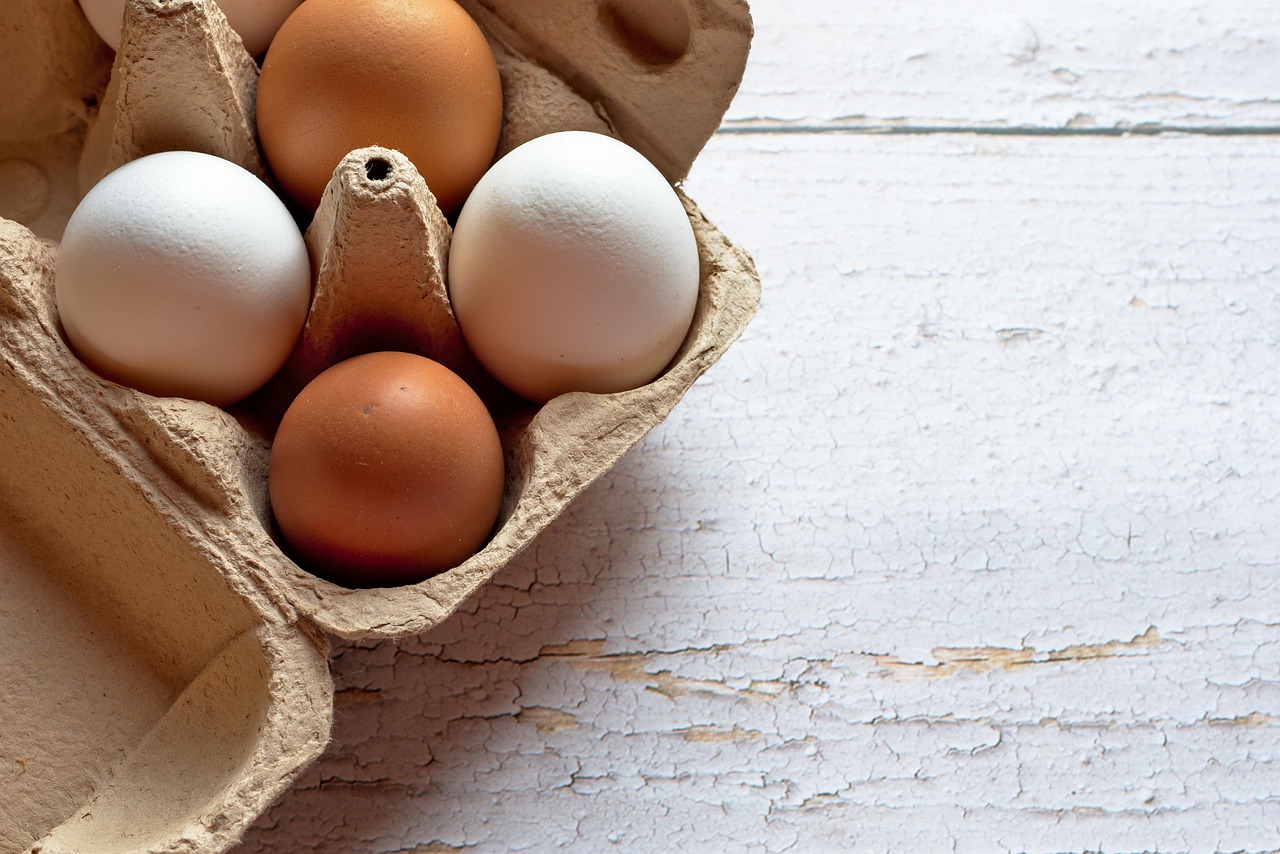 Where Can You Find Reliable Egg Donor Programs in San Diego?