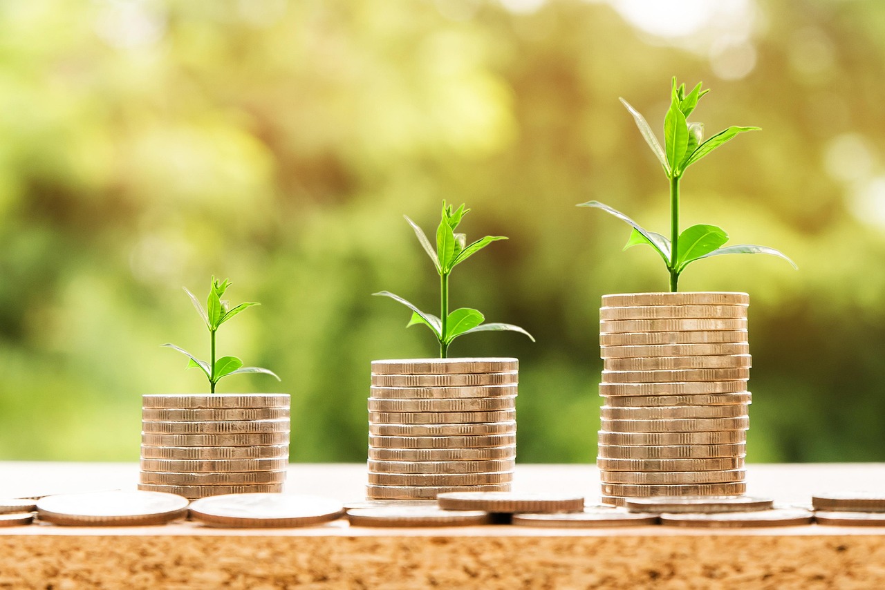 How to Save Money with a Business Setup Consultants Service?