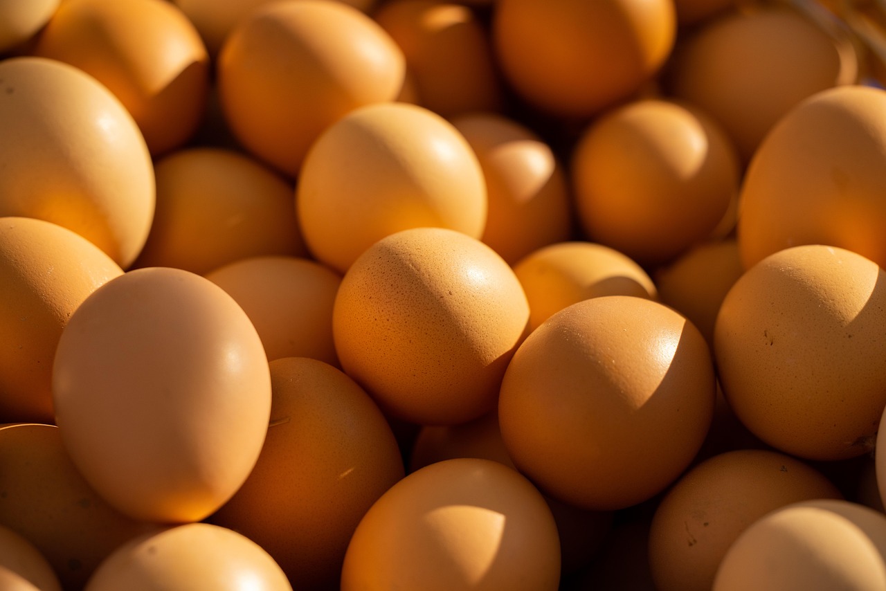 Understanding Frozen vs Fresh Egg Donation at Asian Egg Bank A Guide for Intended Parents in 2026