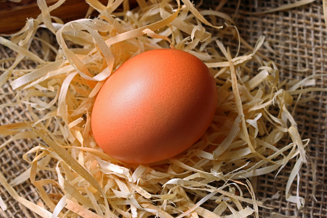Understanding Your Fertility Evaluation: What to Expect at a San Diego Fertility Center in 2026