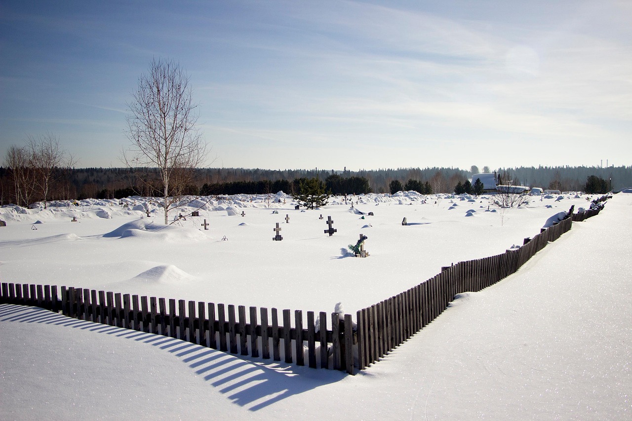 Why More Families Are Choosing Natural Burial in Southern California