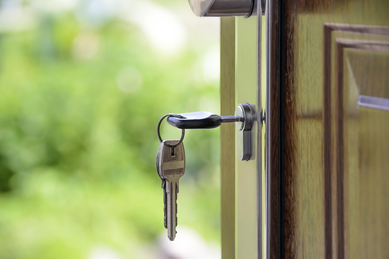 The Ultimate Guide to Custom Security Doors for Indian Homes and Businesses